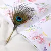 Dip Pen, plumes de paon papeterie boîte-cadeau Belle Voir les images du produit 2