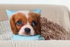 MuchoWow® Zierkissen Sofakissen Wohnzimmer Dekokissen 60x60 Produktbild-Vorschau 4