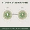 Stauden Gänge 2 x Cortaderia selloana im 1 Liter Topf - Produktbild-Vorschau 9