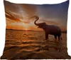 MuchoWow® Outdoor Kissen - Elefant - Meer - Tiere - Produktbild-Vorschau 1