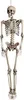 Grand squelette ossature Halloween 160 cm Deko Fruselage Voir les images du produit 5