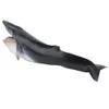 Maquette d'animal marin,Simulation de maquette d'animal Voir les images du produit 4