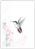 Poster - Poster ohne Rahmen - Kolibri Aquarell Licht - Produktbild-Vorschau 1