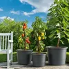 Plastard Blumentopf Terra Ø 54 cm Anthrazit wetterfester Produktbild-Vorschau 6