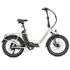 20" LCD elektrobicykel 20 palcov, 48V 15Ah, skladacie Náhľad obrázku produktu 4