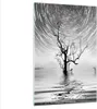 Bilder auf glas - Einteilig - Schwarzweiß Baum See - Produktbild-Vorschau 1