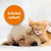 Ardap spray antizecche sugli animali Anteprima dell’immagine prodotto 5