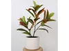 Umělá listnatá rostlina v květináči Ficus, 58 cm Náhled obrázku produktu 5