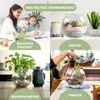 A collage of four images showing different uses of a glass bowl, including an educational project, decor, a water garden, and a terrarium. Produktbild-Vorschau