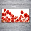 Glasbilder 120x60 Wandbild Druck auf Glas Mohnblumen Produktbild-Vorschau 2