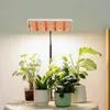 Pflanzenlampe LED Vollspektrum für Zimmerpflanzen – UV-IR Produktbild-Vorschau 8