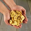 1 kg Lyra Pet® gedroogde bananen Productafbeelding-voorbeeld 6