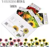 Farbenfrohe Sonnenblumen Samen mit hoher Keimrate - Produktbild-Vorschau 2
