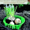 Pflanzkörbe für Blumenzwiebeln Pflanzkorb Blumenzwiebeln Produktbild-Vorschau 4