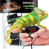 A chameleon is perched on a hand, with a heating pad and its controller visible. Voir les images du produit