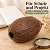 Kakaoschote getrocknet 10-15 cm echte Kakaofrucht ohne Produktbild-Vorschau 4