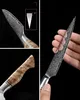 Sada nožů HEZHEN, 5 kusů, damascénská ocel, santoku Náhled obrázku produktu 8