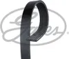 Gates 6PK1103 Keilrippenriemen für Produktbild-Vorschau 5