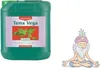 Canna Terra Vega Wachstumsdünger 5L | Hochleistungsdünger Produktbild-Vorschau 5