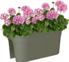 artevasi© VENEZIA Jardiniere Geländerkasten Dry Green Produktbild-Vorschau 2
