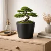 5 Blumentöpfe Schwarz Blumenvase Übertöpfe Pflanztop Set Produktbild-Vorschau 7