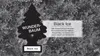 Wunder-Baum Bäumchen Black Ice (3er Blister) Produktbild-Vorschau 4