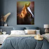 MuchoWow® Poster Pferd - Licht - Mantel 90x120 cm - Produktbild-Vorschau 5