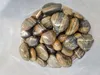 20kg Ciottoli levigati Ghiaia lustra Ciottoli di fiume Anteprima dell’immagine prodotto 3