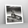 Poster - Poster ohne Rahmen - Tierwelt weiblich katze Tier Produktbild-Vorschau 7