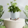 Vaso da fiori Gracia rotondo ⌀29,8 cm bianco Anteprima dell’immagine prodotto 13