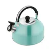A close-up studio shot of a teal whistling kettle. Podgląd zdjęcia produktu