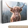OneMillionCanvasses® - Plátno - Skotský horal - Kráva - Náhled obrázku produktu 1