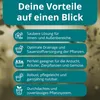 10x Topf viereckig 20,5 x 20,5 x 22cm (6L), Pflanztopf, Produktbild-Vorschau 5