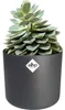 ELHO Coperchio B.For Soft Round 35 cm, antracite Anteprima dell’immagine prodotto 9