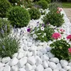 Weiße Kieselsteine als Dekoration in einem Gartenbeet mit Lavendel und blühenden Pflanzen Produktbild-Vorschau