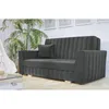 A dark gray sofa with a single throw pillow is shown in a well-lit room with a large potted plant and sheer curtains in the background. Náhled obrázku produktu