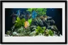 Bild 60x40 MDF-Rahmen Wandkunst Fisch-Aquarium Natur Produktbild-Vorschau 1