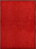 vidaXL Fußmatte Waschbar Rot 90x120 cm -  Fußmatten Produktbild-Vorschau 2