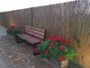 A wooden bench sits in front of a bamboo fence, with potted red flowers on either side. Produktbild-Vorschau