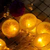 luci da 1,5 m con 10 LED - illuminazione da giardino, Anteprima dell’immagine prodotto 5