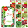 Toraf semená zeleniny XXL set 3000 semien 7 druhov mrkva Náhľad obrázku produktu 1
