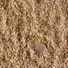Vermiculite - ca. 100 Liter - Fein Produktbild-Vorschau 2
