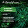 Green Home Dünger Konzentrat Set - 1L Wachstumsdünger, 1L Produktbild-Vorschau 3