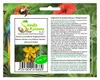 10x Senna corymbosa Argentinische Kassie Cassia corymbosa Produktbild-Vorschau 1