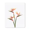 MuchoWow® Mauspad Mousepad Blumen - Orange - Natur - Produktbild-Vorschau 1