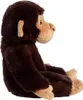 AURORA Eco Nation Chimpanzee soft toy, 25 cm Náhľad obrázku produktu 3