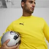 Puma Teamgoal Trainingssweat Herren - Gelb Produktbild-Vorschau 4