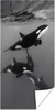 MuchoWow® Poster Orca - Wasser - Schwarz - Weiß 20x40 cm - Produktbild-Vorschau 1