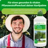 Purgrün Hanfpalmen Dünger | Flüssigdünger für Wachstum | 1L Produktbild-Vorschau 1