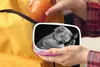 KitchenYeah® Lunchbox Brotzeit Brotdose 17x11 cm Koala - Produktbild-Vorschau 4